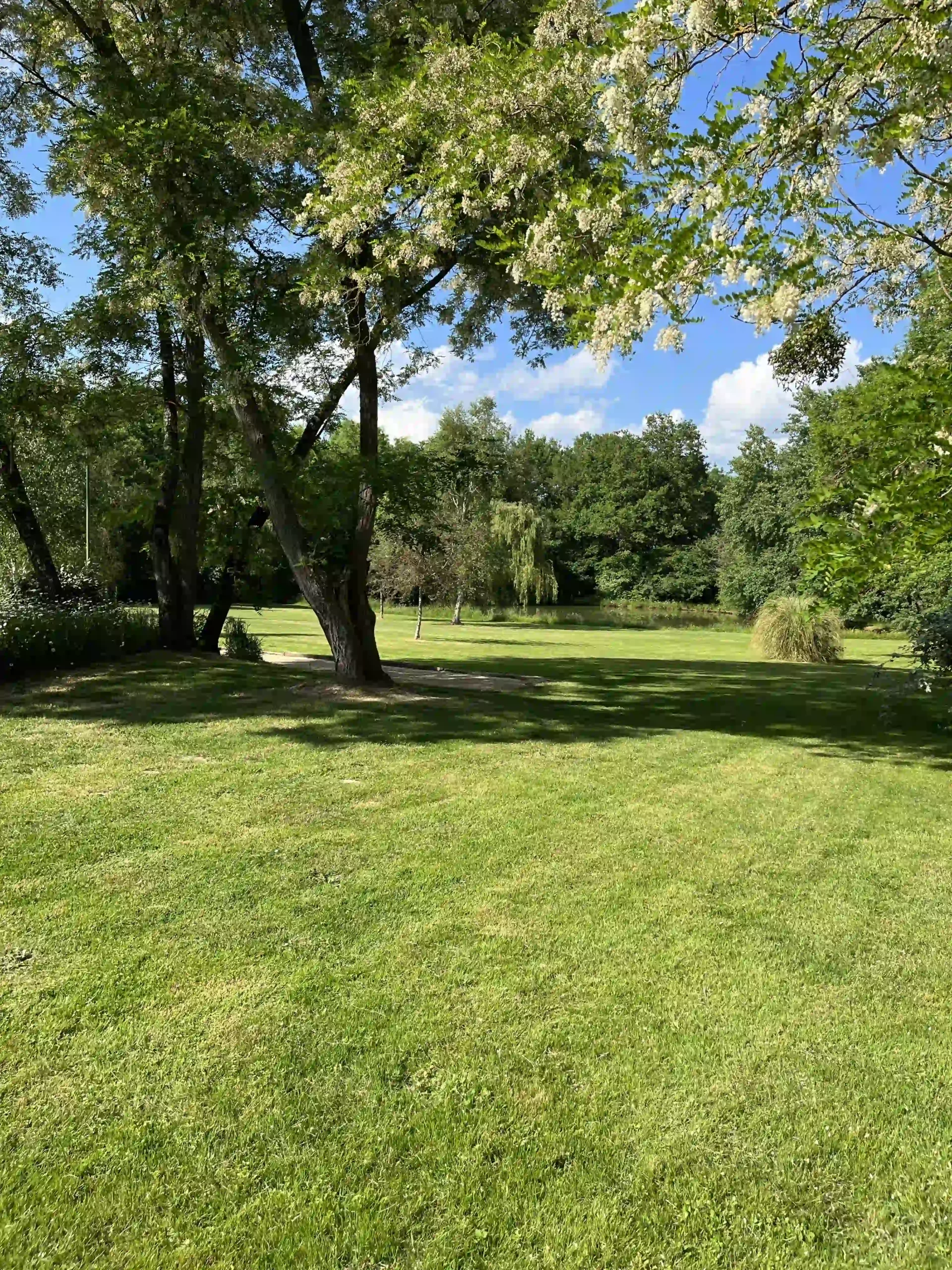 BOISRONDE_EXTERIEUR3